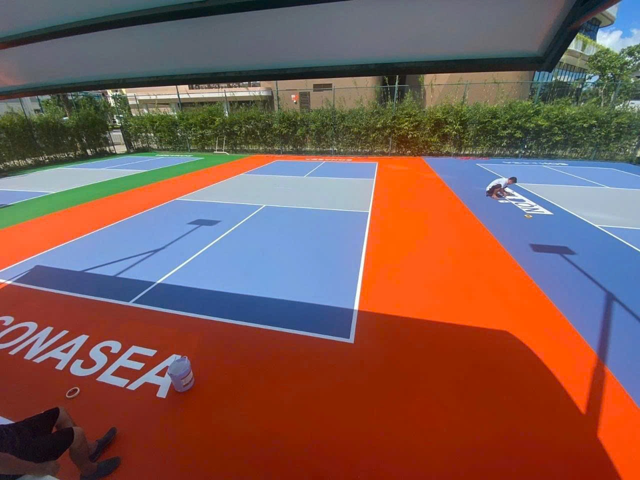 Pickleball luật chơi cơ bản bạn cần nắm rõ